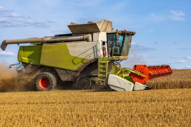 Ekinler verimli bir şekilde toplanırken, modern tarım teknolojisinin gücünü gösteren ağır makineler hasat edilmiş bir alanda çalışıyor..
