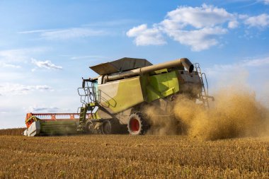 Güçlü bir traktör, tarımsal verimlilik ve üretkenlik sergileyerek geniş bir gökyüzünün altındaki ekinleri toplamak için düzenli olarak çalışır..