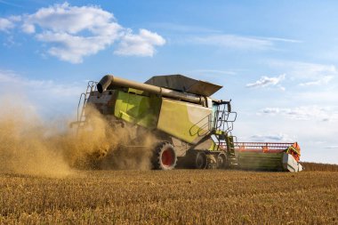 Ağır makineler, açık mavi gökyüzü ve parlak güneş ışığı altında hasat edilen ekinleri toplamakla meşgul..