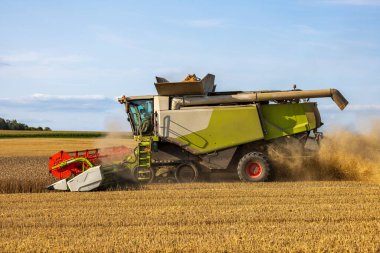 Büyük bir hasat aracı, güneşli bir sonbahar gününde hasat edilmiş bir tarlada hasat topluyor..