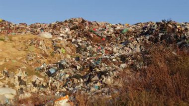 Çöplerle dolu büyük bir atık alanı, ekosistemdeki önemli kirlilik ve atık yönetimi sorununu gösteriyor