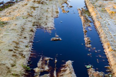 Karanlık, kirlenmiş su çamurlu bir alanda duruyor. Atık ve zehirli maddelerin çevre üzerindeki etkisini gösteriyor..