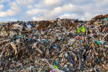 Bulutlu gökyüzünün altındaki bir çöp sahasında büyük bir çöp yığını var. Çöpte çeşitli renkler ve malzemeler görünür..