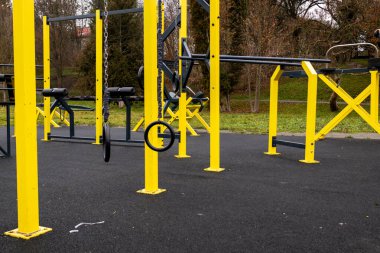 İnsanlar bulutlu bir günde arka planda çimenler ve ağaçlarla dolu bir parkta spor aletlerini kullanıyorlar..