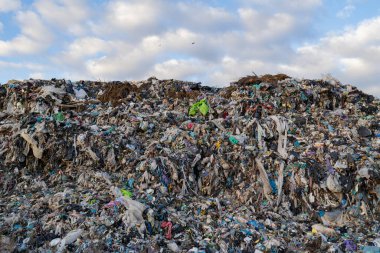 Çöp yığını, gün boyunca bulutlu bir gökyüzünün altında bir çöp sahasında birikir ve atık ve kirliliğin boyutunu gösterir..