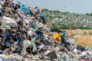 Atık yönetiminin ekosistem üzerindeki kötü etkilerini vurgulayan devasa bir çöp yığını araziye yayılıyor..