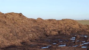 Gübre olarak kullanılmak üzere tarlaya büyük gübre yığını konur. Gübre zamanla daha iyi ürün yetiştirmek için toprağı zenginleştirecek.