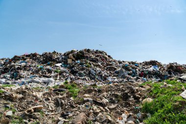 Geniş bir çöplük alanı, temiz bir gökyüzünün altında büyük bir çöp yığını ve kenarlarında biraz yeşillik gösteriyor..