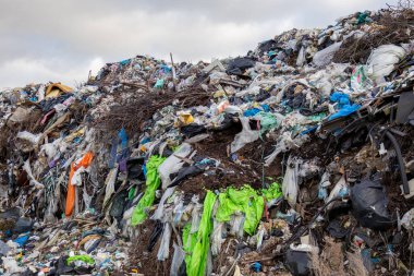 Kırsal bir bölgede gündüz vakti bir çöp sahasında plastik, metal ve organik atıktan oluşan büyük bir çöp yığını..