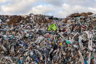 Büyük çöp yığınları, bulutlu bir gökyüzünün altında enkaz ve atıklarla çevrili bir çöp sahasında otururlar..