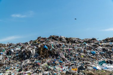 A vast expanse of garbage dominates the landscape, showcasing heaps of trash and plastic under an open sky, highlighting environmental neglect.