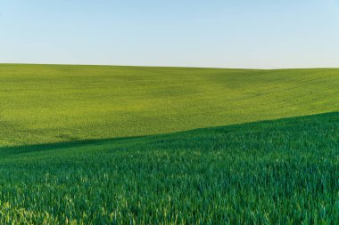 Güneş ışığı yuvarlanan yeşil tepeleri yıkıyor, şafak saatlerinde dinlenmeye ve yansımaya davet eden huzurlu bir manzara sergiliyor..