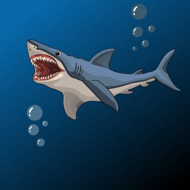 Shark open mouth, vector illustration clipart