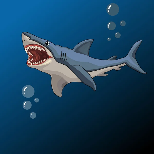 Köpekbalığı açık ağız, vektör çizim — Stok Vektör