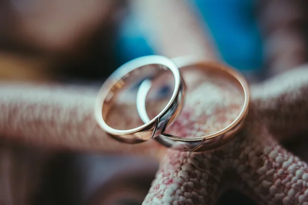 Anéis de casamento de ouro — Fotografia de Stock