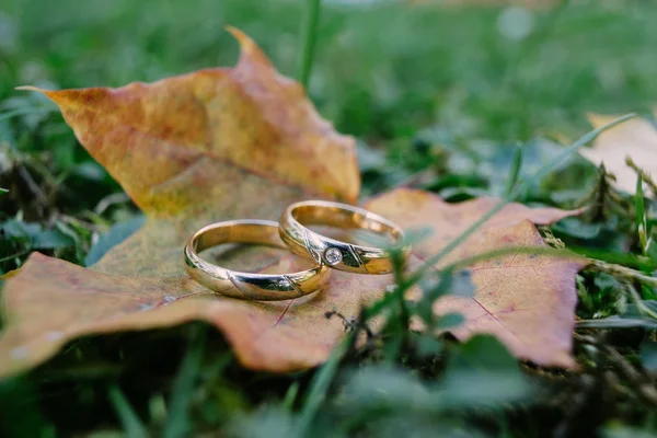 Anillos de boda de oro — Foto de Stock