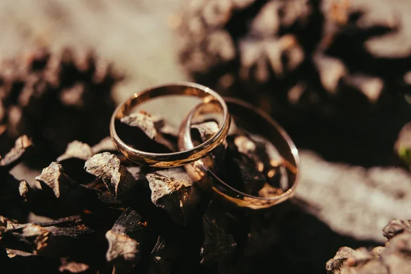 Anillos de boda de oro — Foto de Stock