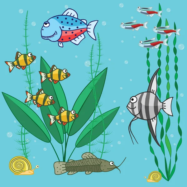 Peixes de aquário com plantas — Vetor de Stock
