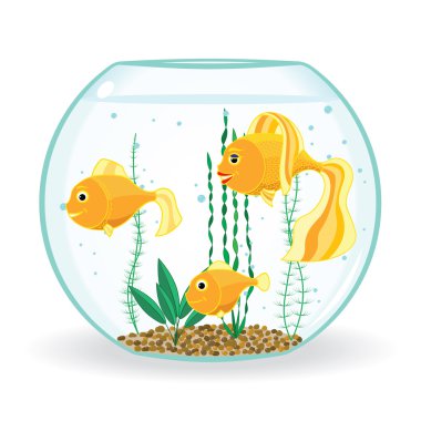 fishbowl içinde 3 Japon balığı