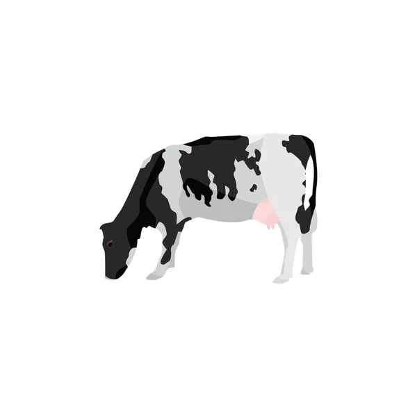 Black spotted cow. Holstein cow vector — Stock Vector