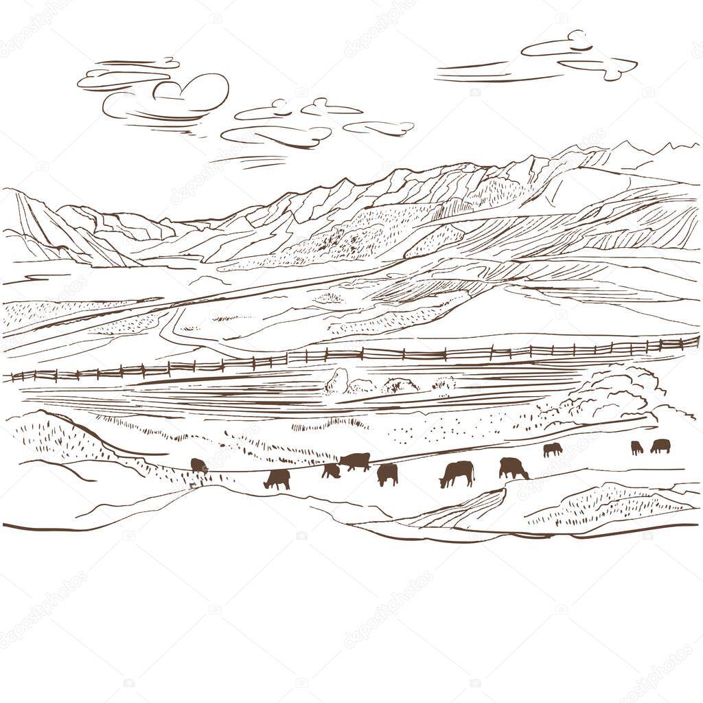 Village and a landscape farm vector. Cows chewing grass on background of farm. Hand-drawn vector illustration of a mountain landscape
