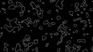 Tek renk desenli soyut bir arkaplan. siyah ve beyaz desenli noktalar