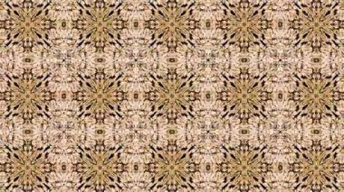 Bu video, simetrik desenli ve düzgün hareketli soyut kaleydoskop görsellerini büyülüyor. Sakinleştirici ve sürükleyici bir görsel deneyim yaratmak için tasarlanan bu dijital animasyonlar, tekrarlayan geometrik formları, uyumlu