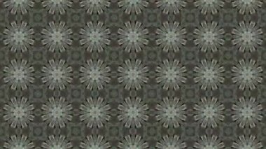 Bu video, soyut simetrik görselleri, doğal taş dokularından esinlenerek, kaleydoskopik hareketle akışkan organik kalıplara dönüştürülür. Kusursuz hareket ve dengeli bileşim gizli simetriyi ortaya çıkarıyor.