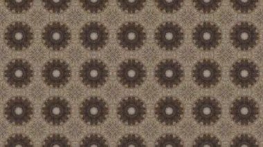 Bu soyut kaleydoskop videosu fütüristik ve modern estetiğe sahip simetrik şekillerin kusursuz bir döngüsünü içeriyor. Dinamik hareket hipnotik görsel bir etki yaratarak hareket grafikleri ve dijital arkaplanlar için ideal hale getiriyor.