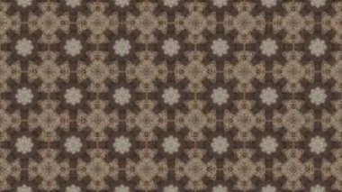 Bu soyut kaleydoskop videosu fütüristik ve modern estetiğe sahip simetrik şekillerin kusursuz bir döngüsünü içeriyor. Dinamik hareket hipnotik görsel bir etki yaratarak hareket grafikleri ve dijital arkaplanlar için ideal hale getiriyor.