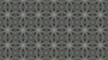 Bu soyut kaleydoskop videosu fütüristik ve modern estetiğe sahip simetrik şekillerin kusursuz bir döngüsünü içeriyor. Dinamik hareket hipnotik görsel bir etki yaratarak hareket grafikleri ve dijital arkaplanlar için ideal hale getiriyor.