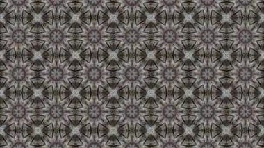 Bu soyut kaleydoskop videosu fütüristik ve modern estetiğe sahip simetrik şekillerin kusursuz bir döngüsünü içeriyor. Dinamik hareket hipnotik görsel bir etki yaratarak hareket grafikleri ve dijital arkaplanlar için ideal hale getiriyor.