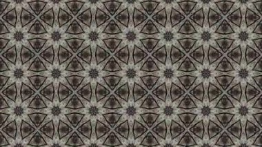 Bu soyut kaleydoskop videosu fütüristik ve modern estetiğe sahip simetrik şekillerin kusursuz bir döngüsünü içeriyor. Dinamik hareket hipnotik görsel bir etki yaratarak hareket grafikleri ve dijital arkaplanlar için ideal hale getiriyor.,