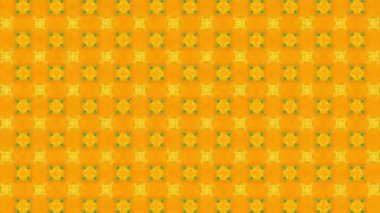 Bu soyut kaleydoskop videosu fütüristik ve modern estetiğe sahip simetrik şekillerin kusursuz bir döngüsünü içeriyor. Dinamik hareket hipnotik görsel bir etki yaratarak hareket grafikleri ve dijital arkaplanlar için ideal hale getiriyor.