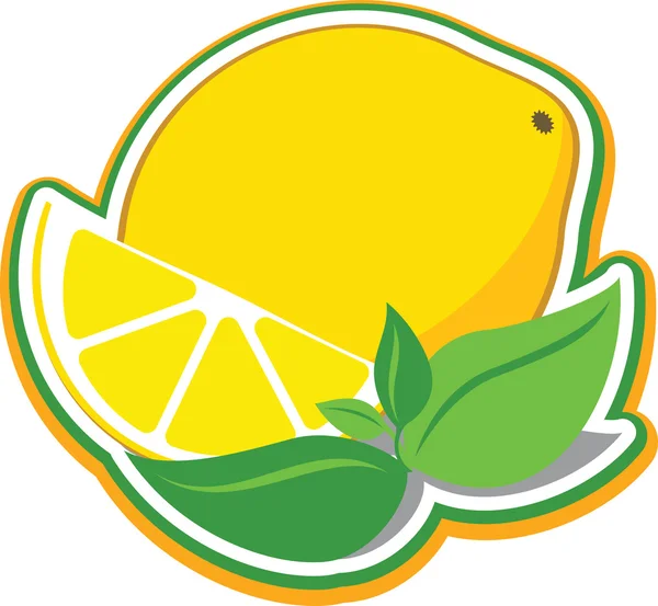 Limón con hojas de menta . — Archivo Imágenes Vectoriales