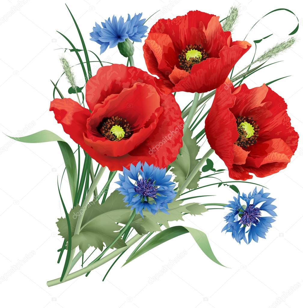 Bunch of red poppy flower, blue cornflakes and hare's-foot clove
