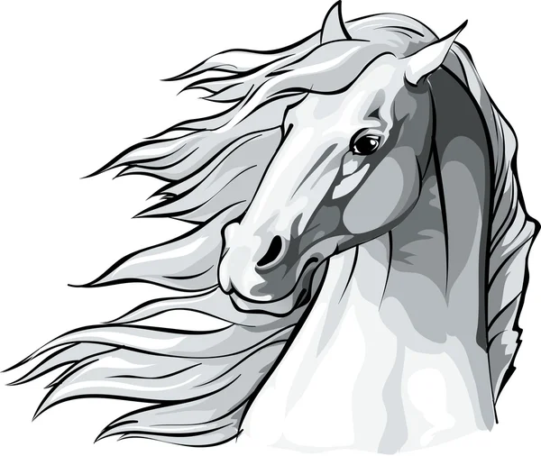 Cabeza de caballo con crin que fluye en el viento . — Vector de stock