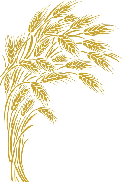 Wheat ears frame, border or corner element. — Stock Vector