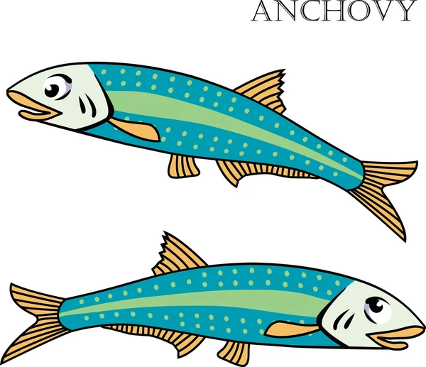 Ansjovis fiska vektor illustration. — Stock vektor