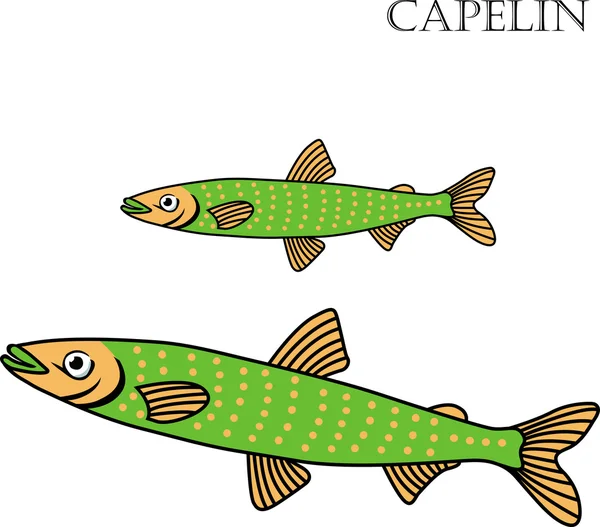 Capelin peixe cor cartoon vetor ilustração . — Vetor de Stock