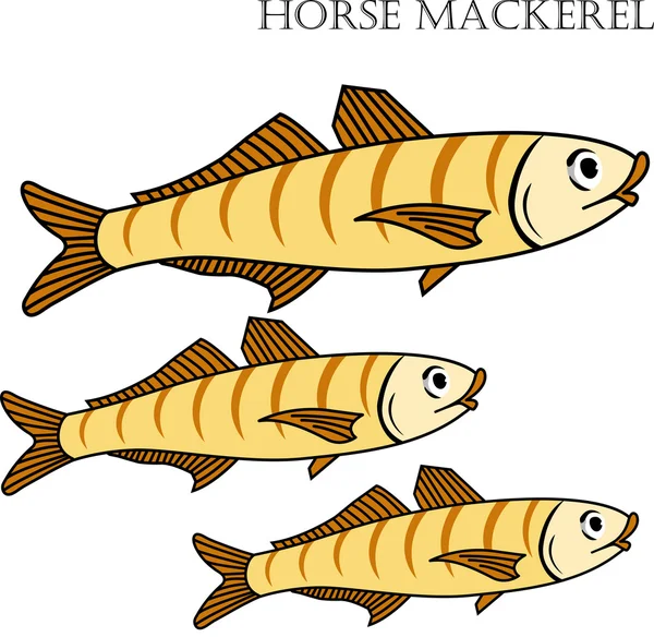 Caballa peces color dibujos animados vector ilustración . — Vector de stock