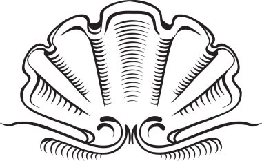 Seashell - crest, afiş veya çerçeve elemen Vintage çizimi