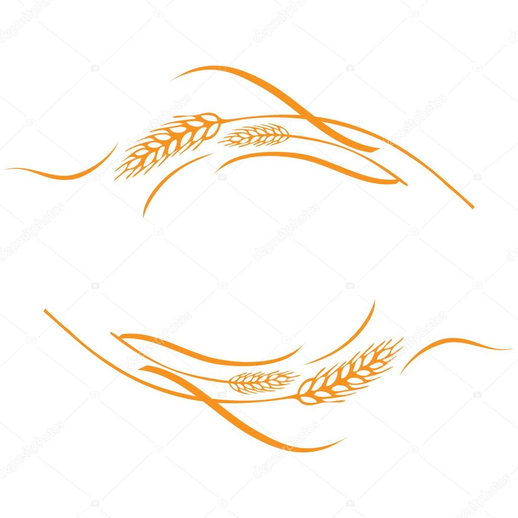Vector illustration of a few gold ripe wheat ears. Can be used as frame, corner or border design element.