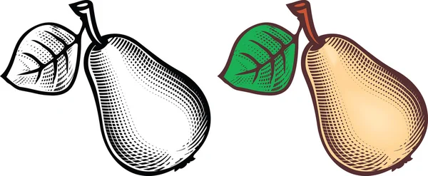 Ilustración de pera con hoja . — Archivo Imágenes Vectoriales