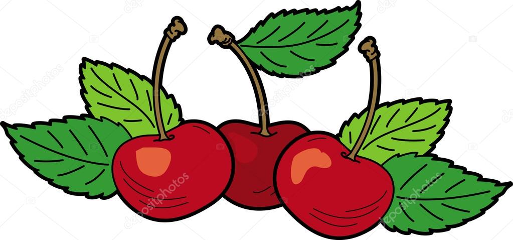 Red cherries with leaves
