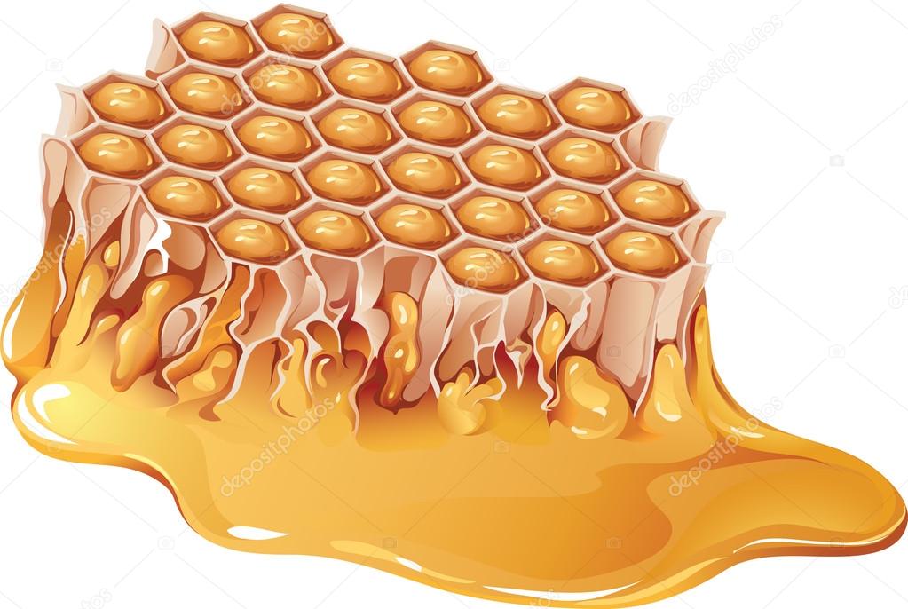 Illustration of honey comb