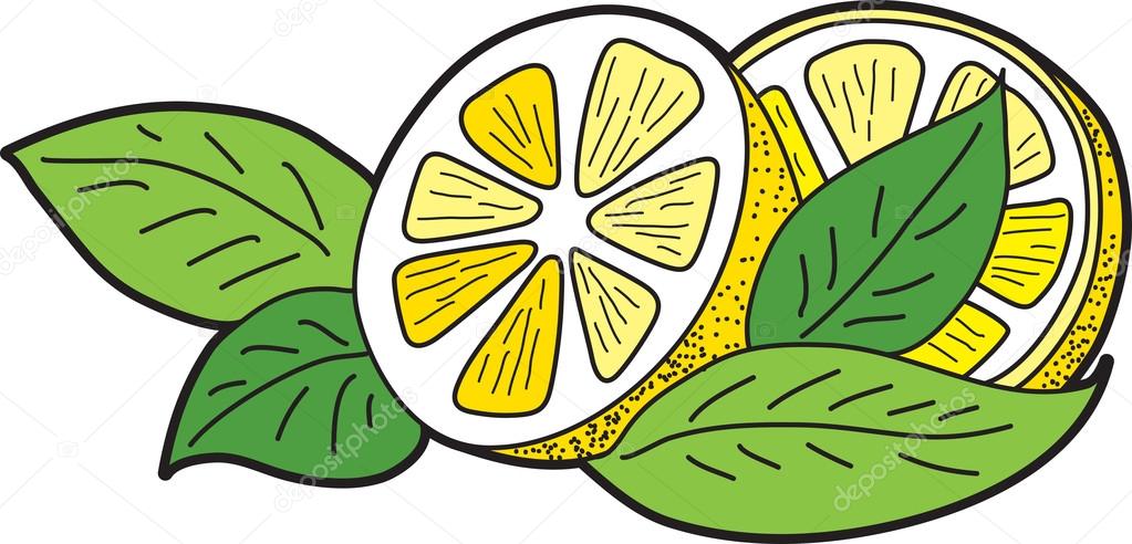 Lemon with leaves