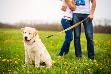 erkek ve kadın ile köpek