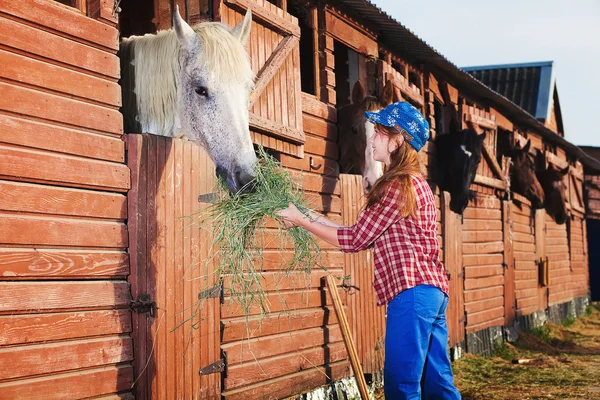 Menina e cavalo — Fotografia de Stock