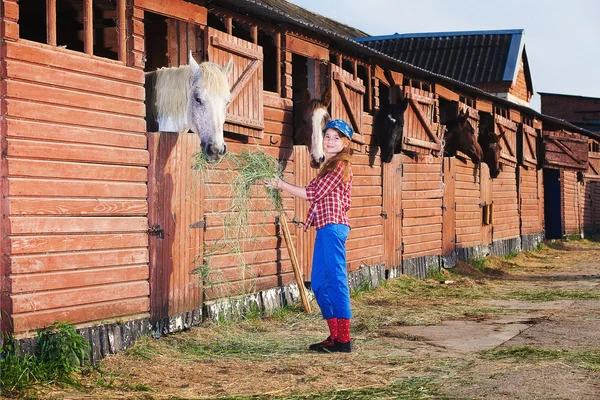 Meisje en paard — Stockfoto